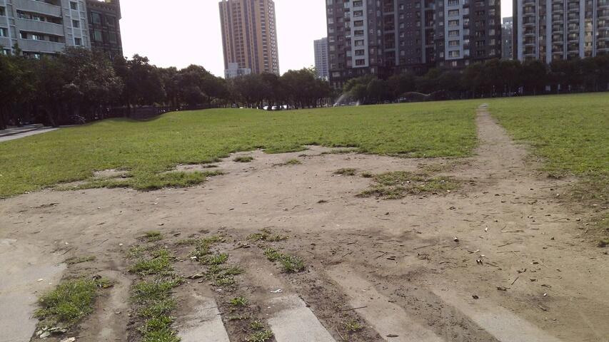 市民广场绿地六月起维养草皮 暂停开放4个月