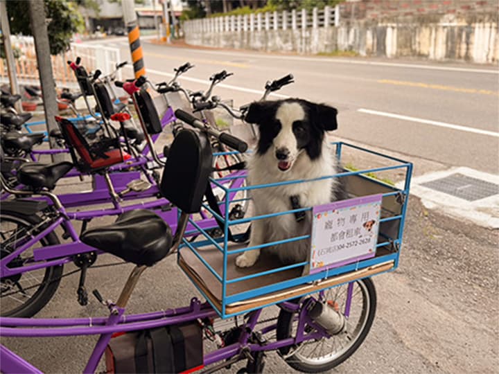 都會租車(石岡店)