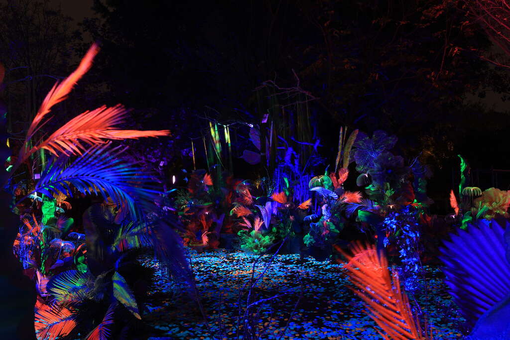 魔盒世界－寶石奇幻植物