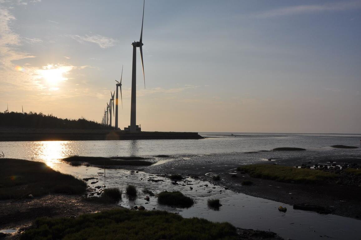 Đầm lầy Cao Mỹ