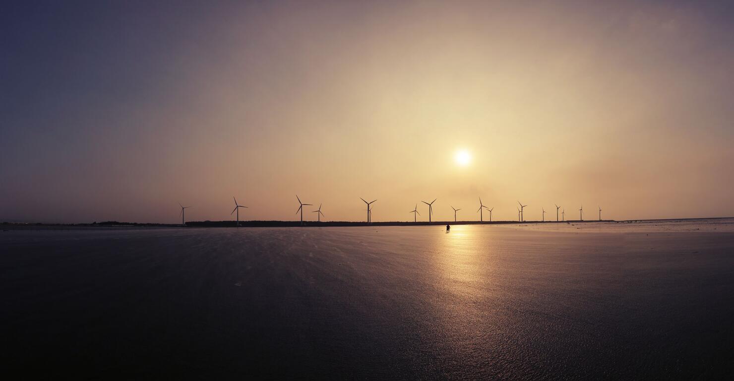 Đầm lầy Cao Mỹ