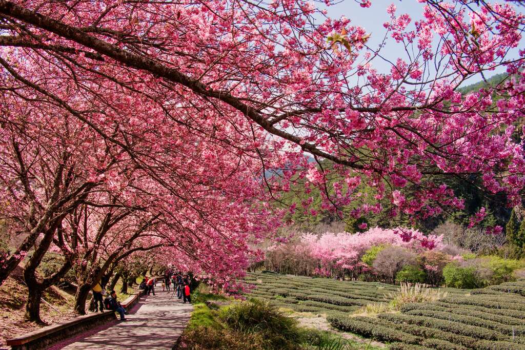 Nông trường Vũ Lăng