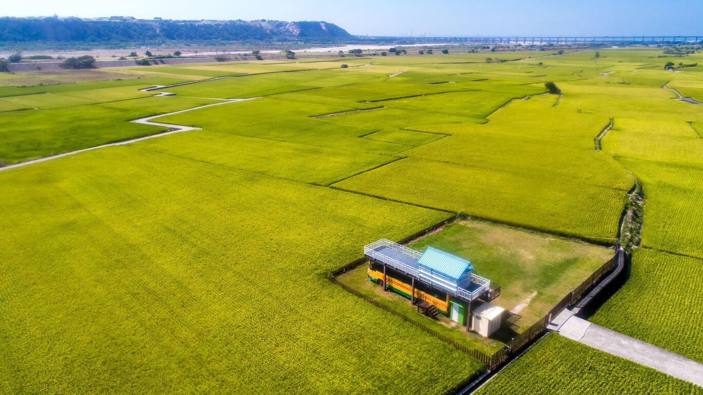 外埔忘憂谷 臺中觀光旅遊網taichung Tourism
