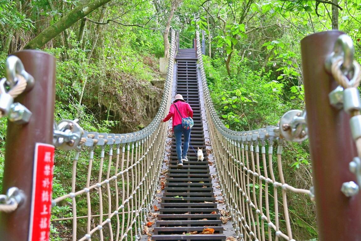 草嶺登山步道及楓仔林登山步道 臺中觀光旅遊網taichung Tourism