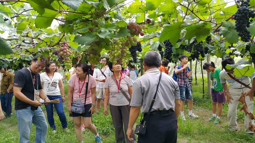 2015臺中市文化專車 悠遊臺中有藝思
