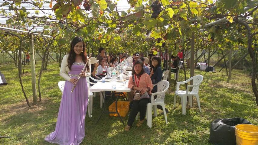 外埔永丰一日红酒微醺之旅 游客称赞是都市餐馆享受不到的美味