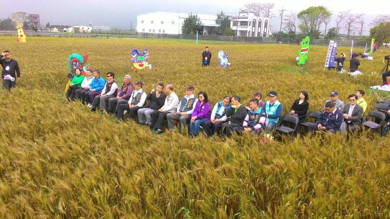 外埔幽浮麥樂文化季 三崁金麥踏浪趣