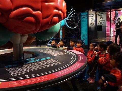腦世紀將至!你也可以是超人! 國內首次認知神經科學大展科博館登場-大腦展