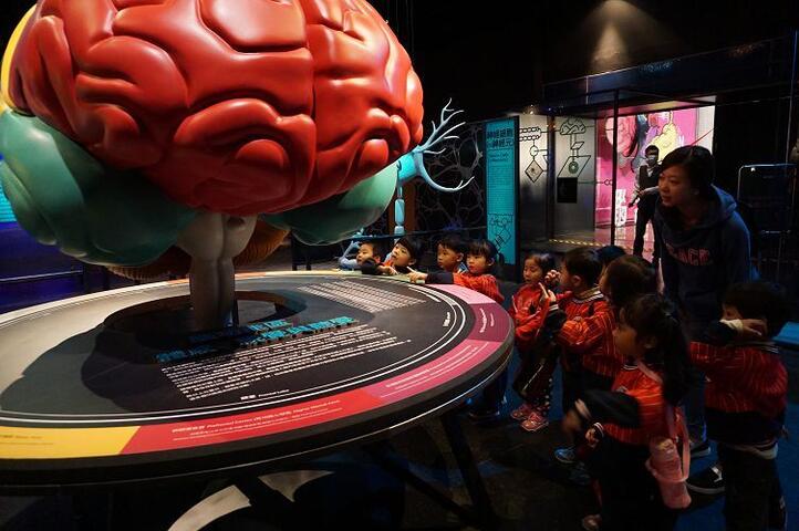 腦世紀將至！你也可以是超人！ 國內首次認知神經科學大展科博館登場-大腦展