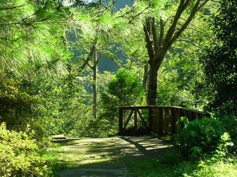 歡慶兒童節連假 中市遊樂區推入園優惠