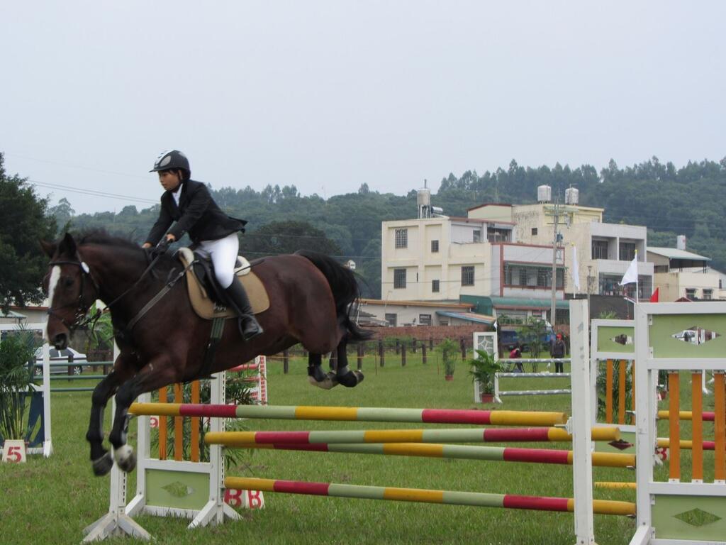 勞動節、母親節將屆 后里馬場免費入園