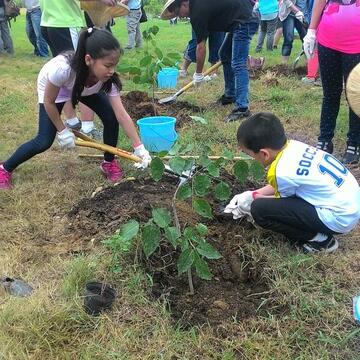 中市七座已封閉垃圾掩埋場變公園綠地 已種適合喬木近千棵