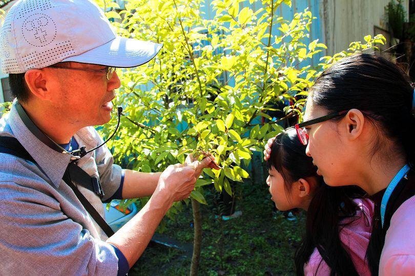 蜘蛛是不是昆蟲?到科博館鳳凰谷鳥園「體驗」答案 「夜觀鳳凰谷鳥園的盔甲武士」13日開放報名