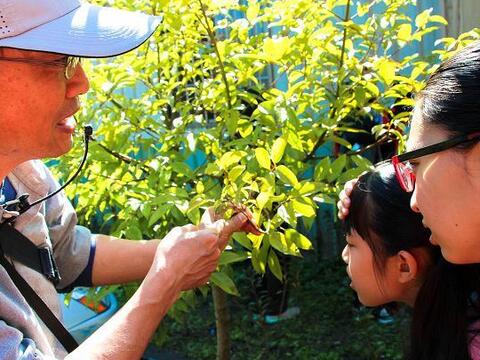 蜘蛛是不是昆蟲?到科博館鳳凰谷鳥園「體驗」答案 「夜觀鳳凰谷鳥園的盔甲武士」13日開放報名