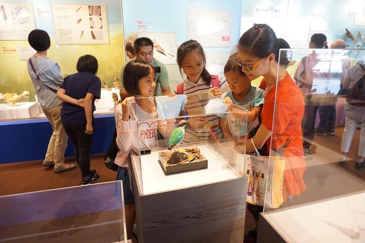 快来看!木头变鸟了! 科博馆「明察秋毫」展野鸟生态木雕-小朋友观赏中