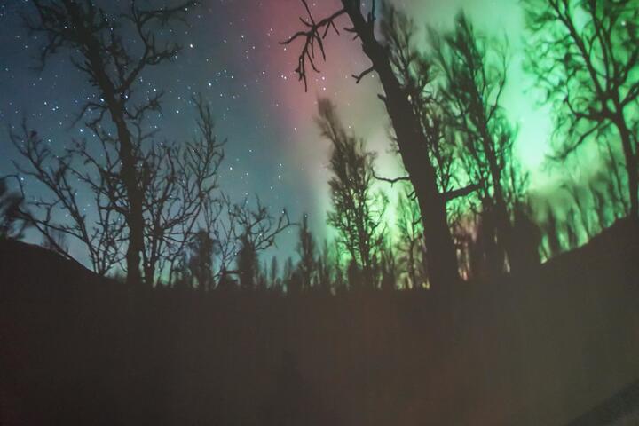 尖叫聲!太空劇場《薩米人的星空》加場播映! 科博館鼓勵購票欣賞7/18及7/25新增場次