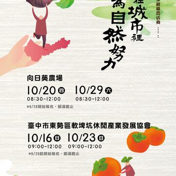 中市永续绿农采芋、摘柿子 9/28起开放报名