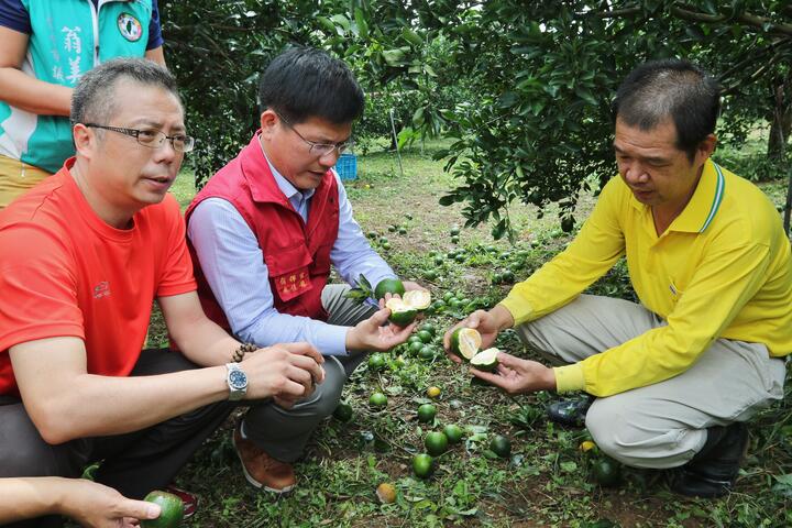 【梅姬颱風】林市長關心農損 續用農發基金與三從標準助災後復耕