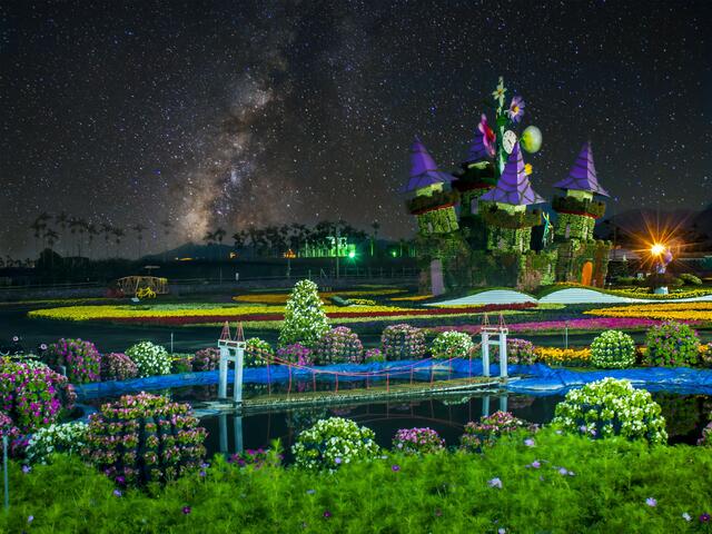 得獎作品  創意台中 銅牌 呂可喜  星光新社花海