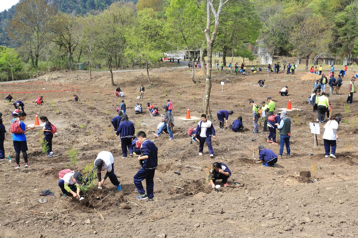 市府八年百萬棵植樹計畫 明年續編預算推動