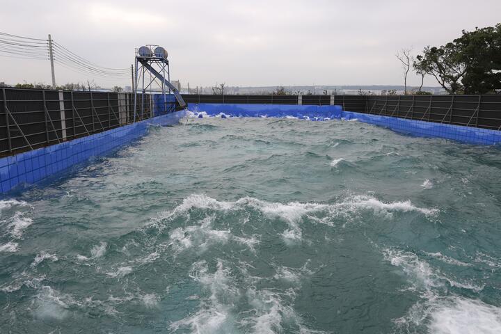 取景台中造浪池 金獎導演新作《沉默》將上映