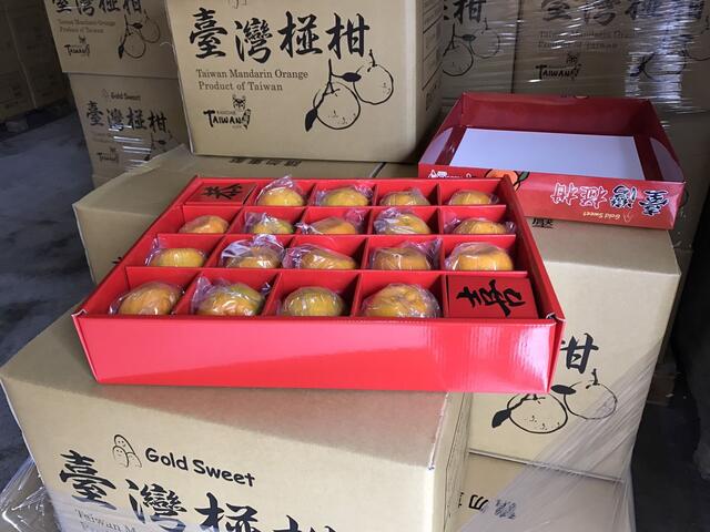 中市優質椪柑 首批17噸外銷馬來西亞