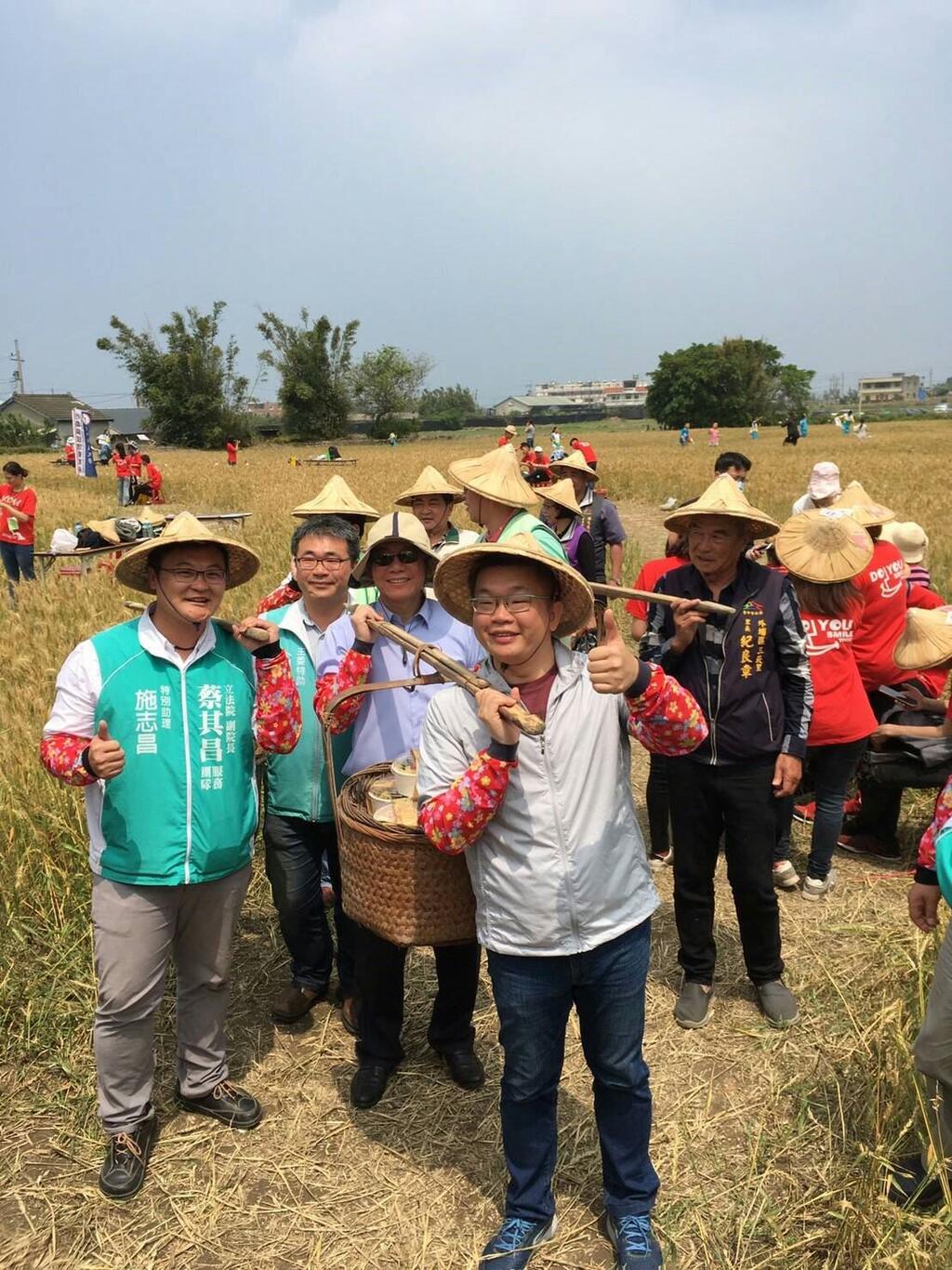 外埔小麥推廣活動熱鬧登場 金黃色麥浪迎風搖曳