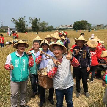 外埔小麥推廣活動熱鬧登場 金黃色麥浪迎風搖曳