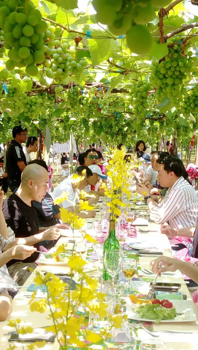 港澳旅行社踩线团 惊艳台中葡萄树下大地餐桌-众人於葡萄树下享用台中在地美食
