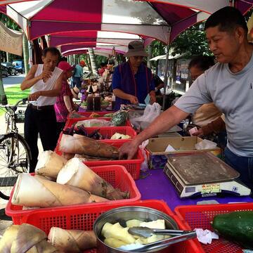 打造假日遊憩新亮點 中市府國資圖旁設農夫市集與小花海