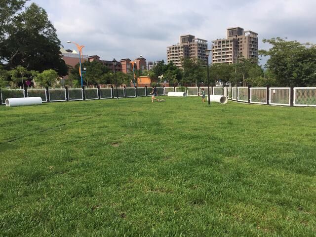 泉源公園保留大片草地讓寵物盡情奔跑