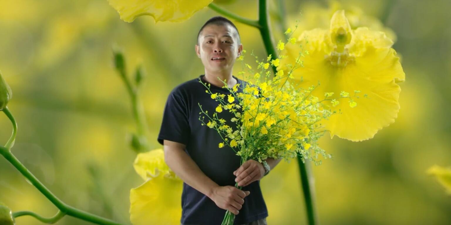 新社區花農廖秉鋐帶著美麗文心蘭入鏡