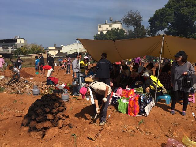 沙鹿地瓜文化祭 千人控窯享受地瓜美味