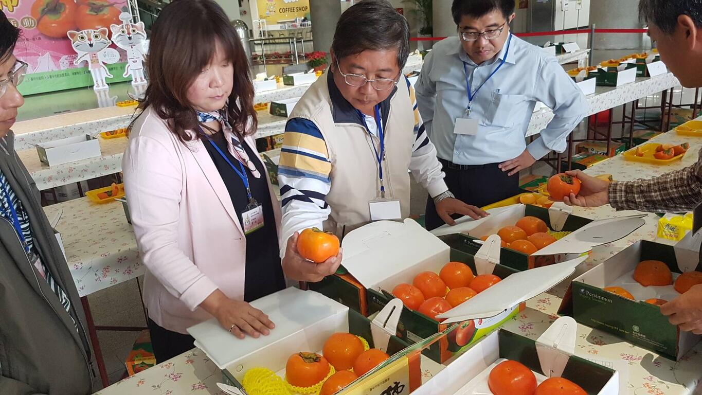 106年度台中市優質甜柿果品評鑑活動，結果日前出爐