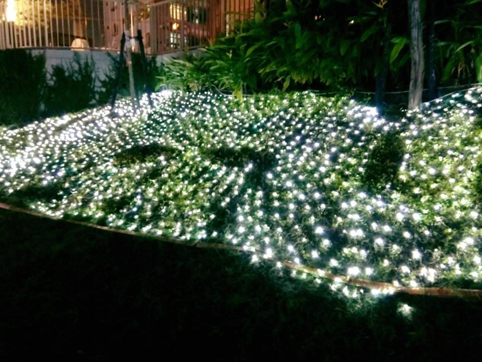 柳川光景藝術展出現因民眾拍照踩踏造成多處燈景損壞