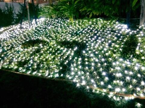 柳川光景藝術展出現因民眾拍照踩踏造成多處燈景損壞