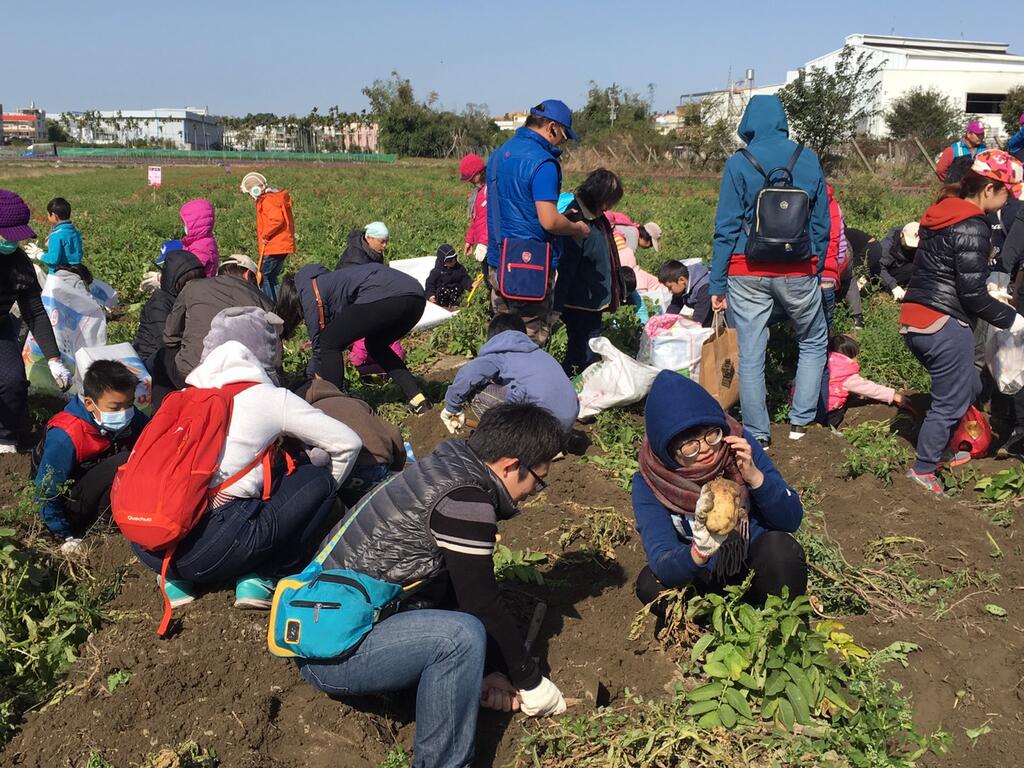 2018馬鈴薯產業文化活動吸引親子體驗農村樂