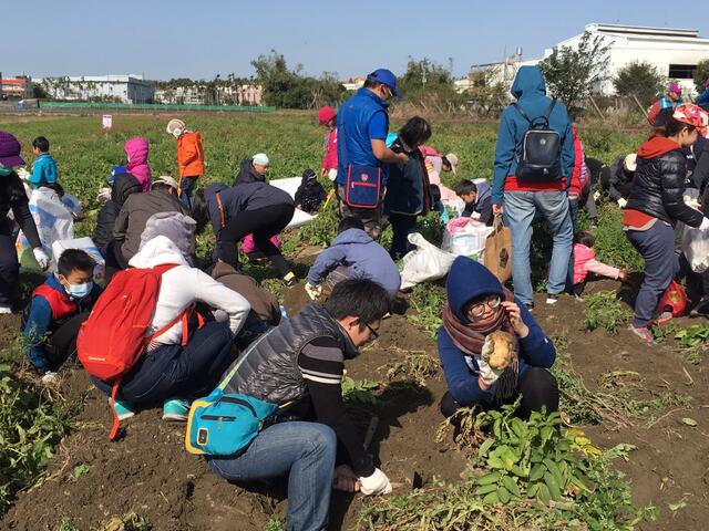 2018馬鈴薯產業文化活動吸引親子體驗農村樂