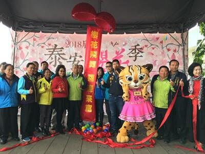 后里泰安櫻花季登場 觀旅局推假日賞櫻接駁車