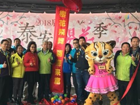 后里泰安櫻花季登場 觀旅局推假日賞櫻接駁車