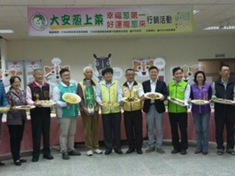 天然湧泉灌溉 中市大安蔥受民眾喜愛