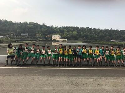 「種」出石虎迎花博 中市農業局邀民眾彩繪稻田體驗插秧