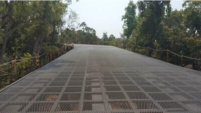 花博后里園區花馬道 高空俯視森林花海美景