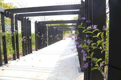 到花博豐原葫蘆墩園區漫遊全台最長「花廊道」 享受浪漫、許下願望