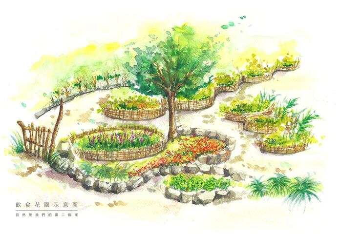 台中花博打造「永續家園」 五大元素傳遞自然人文