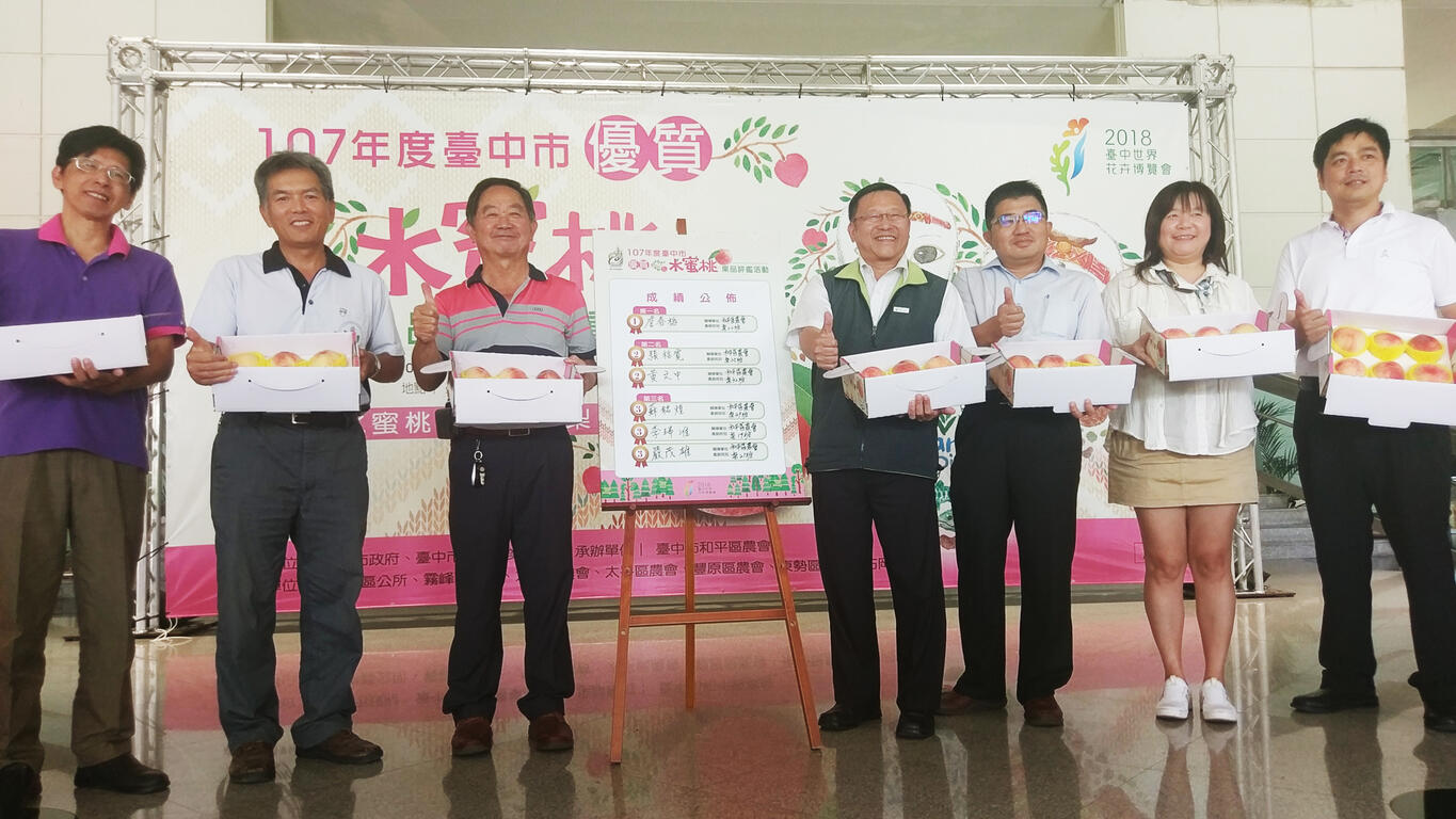 台中市水蜜桃評鑑出爐 梨山農友詹春奪冠