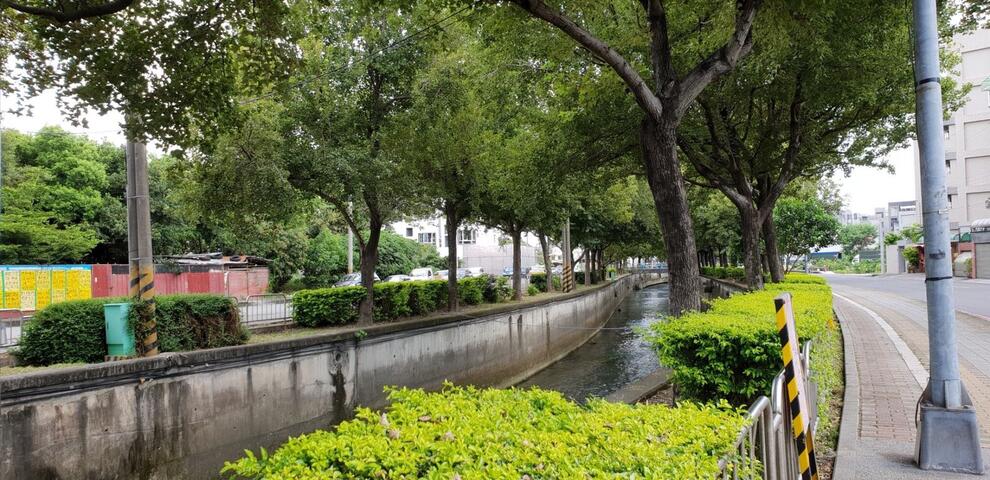 中市府邀紐約自由女神像燈光設計師 為南屯溪楓香林打造「楓林光廊」