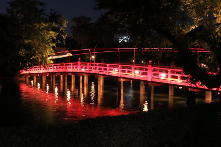 七夕约会新亮点 台中公园夜间湖中宫殿、日式红鹊桥超浪漫