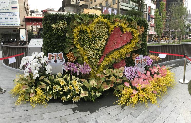 綠川七夕花牆 情人節夜晚拍照打卡送玫瑰