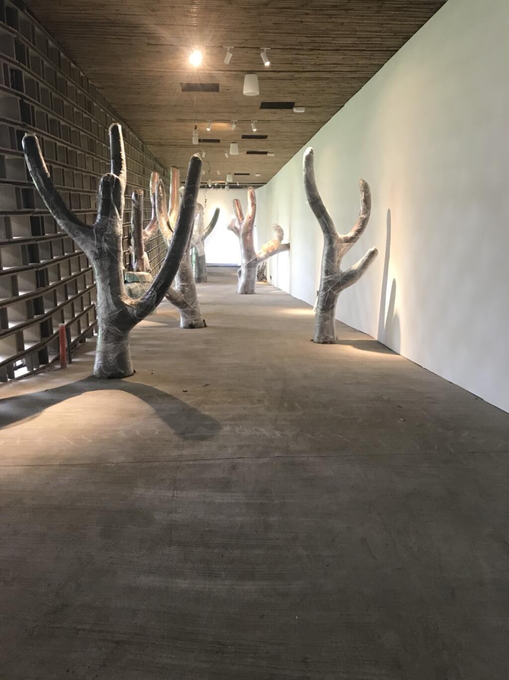 音樂人林強加入台中花博團隊 自然曲風詮釋后里園區生態精神